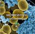 Antibióticos e Multirresistência