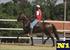 V COPA DE MARCHA DO NÚCLEO BANDEIRANTES DO CAVALO M. MARCHADOR (2º ETAPA)- HARAS SERENA- ITUPEVA/S. itupeva - sp. abril