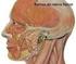 Cirurgia Descompressiva do Nervo Facial Via Transmatoidea. Critérios de Indicação e