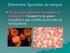 Introdução. Sangue. Tecido líquido Elementos figurados. Plasma. Glóbulos Sanguíneos. Matriz Extracelular. Glóbulos Vermelhos. Plasma.