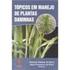 Fitossociologia de plantas daninhas na cultura do pimentão nos sistemas de plantio direto e convencional