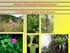 11. Plantas vasculares com flor: Divisão: Anthophyta (leitura recomendada Raven et al. Capítulo 19:Angiosperms)