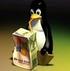 Paralelo Técnico Windows x Linux