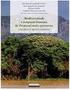 Briófitas de uma área de Terra Firme no município de Mirinzal e novas ocorrências para o estado do Maranhão, Brasil