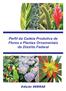 Perfil da Cadeia Produtiva de Flores e Plantas Ornamentais do Distrito Federal