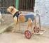 Cadeira de Rodas para Cachorro (feita com material leve e barato)