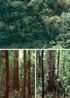 Diversidade e utilização de espécies arbóreas de um fragmento de floresta estacional semidecidual em Tabuleiro do Mato Dentro, MG