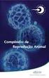 Origem, Crescimento, Degeneração e Maturação In Vitro do Oócito