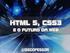 HTML5 O futuro da internet