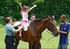 Equoterapia: O uso do cavalo em práticas terapêuticas.