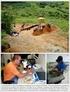 Análise de cerâmica arqueológica do Sítio Ribeirão Sangradouro Grande 1. Archaeological ceramic analysis in the Site of Ribeirão Sangradouro Grande 1