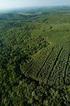 Recursos Florestais em Propriedades Agrícolas