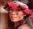 Povos indígenas, quilombolas e comunidades tradicionais