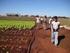 As Contradições Entre Agronegócio e os Assentamentos Rurais em Mato Grosso.