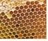 Palavras- chaves: Geometria das abelhas, Formato hexagonal dos favos de mel, Ensinoaprendizagem.