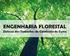 REVISTA CIENTÍFICA ELETRÔNICA DE ENGENHARIA FLORESTAL - ISSN PERIODICIDADE SEMESTRAL EDIÇÃO NÚMERO 11 FEVEREIRO DE 2008