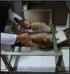 Parâmetros radiográficos de displasia coxofemoral na raça Rottweiler