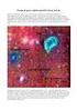 REA - REDE DE ASTRONOMIA OBSERVACIONAL REPORTE Nº 3 DEZEMBRO DE 1990