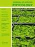 BIOSTIMULANT FOLIAR APPLICATION IN LETTUCE AFTER TRANSPLANTING OF SEEDLINGS