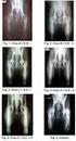 AVALIAÇÃO RADIOGRÁFICA DA ARTICULAÇÃO COXOFEMORAL EM CÃES SUBMETIDOS A EXERCÍCIOS FÍSICOS.