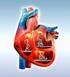 Cardioversor desfibrilhador implantável (CDI) em atletas: a controvérsia Implantable cardioverter defibrillator (ICD) in athletes: the controversy