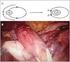 Arquivos de Gastroenterologia Print version ISSN