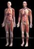 Introdução ao estudo da anatomia