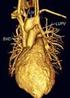 [Cor triatriatum sinister and secondary pulmonary arterial hypertension in a dog]