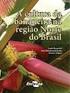 A cultura da bananeira na região Norte do Brasil