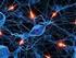 Uso de Redes Neurais Artificiais na Descoberta de Conhecimento a partir de Dados e Imagens de Sensores