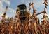 Dinâmica da Agricultura nos polos de produção de grãos no Mato Grosso do Sul