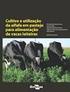 Cultivo e utilização da alfafa em pastejo para alimentação de vacas leiteiras