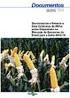 Quatrocentas e sessenta e sete cultivares de milho estão disponíveis no mercado de sementes do Brasil para a safra 2013/14