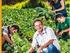 Experiências de transição agroecológica no Assentamento Santa Maria das Lages, Poço Verde, SE