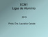 ECM1 Ligas de Alumínio. Profa. Dra. Lauralice Canale