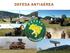 DEFESA ANTIAÉREA. Encerramento do Projeto. Conteúdo Nacional C 2. Empregos Gerados. Empresas Envolvidas. Proteção das estruturas estratégicas