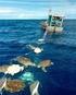 Interação da Pesca Artesanal de Lagosta com Tartarugas Marinhas no Litoral Norte da Bahia