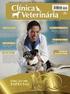 4. Público Alvo: Médicos Veterinários diplomados por Instituições nacionais reconhecidas e estrangeiras consideradas equivalentes.