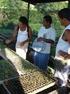 DETERMINANTES DA DISPERSÃO DA RENDA NO MEIO RURAL BRASILEIRO