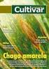 RESULTADOS DE 2009 CULTIVARES DE TRIGO INDICADAS PARA O PARANÁ E SÃO PAULO. Fevereiro, 2010