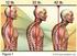 The influence of forward head posture (fhp) in mastigatory pattern