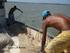 O DESCARTE DE PESCADO NA PESCA COM REDE DE CERCO NO BAIXO RIO SOLIMÕES, AMAZÔNIA CENTRAL