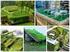 Infraestruturas Verdes. Construir com vegetação coberturas e paredes