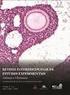 revista interdisciplinar de estudos experimentais Animais e Humanos