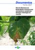ISSN Junho, Mancha-Bacteriana do Maracujazeiro (Xanthomonas axonopodis pv. passiflorae): Etiologia e Estratégias de Controle