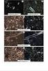 Geoquímica das Rochas Máficas Toleíticas da Suíte Pós-Colisional Paulo Lopes, Neoproterozóico do Sul do Brasil