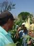 Defensivos agrícolas naturais na visão da Industria