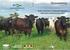 Desempenho de bovinos simulado pelo modelo Pampa Corte e obtido por experimentação
