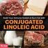 Effects of conjugated linoleic acid on animal metabolism: advances in research and perspectives for the future