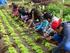 EDUCAÇÃO PELA AGROECOLOGIA: horta escolar